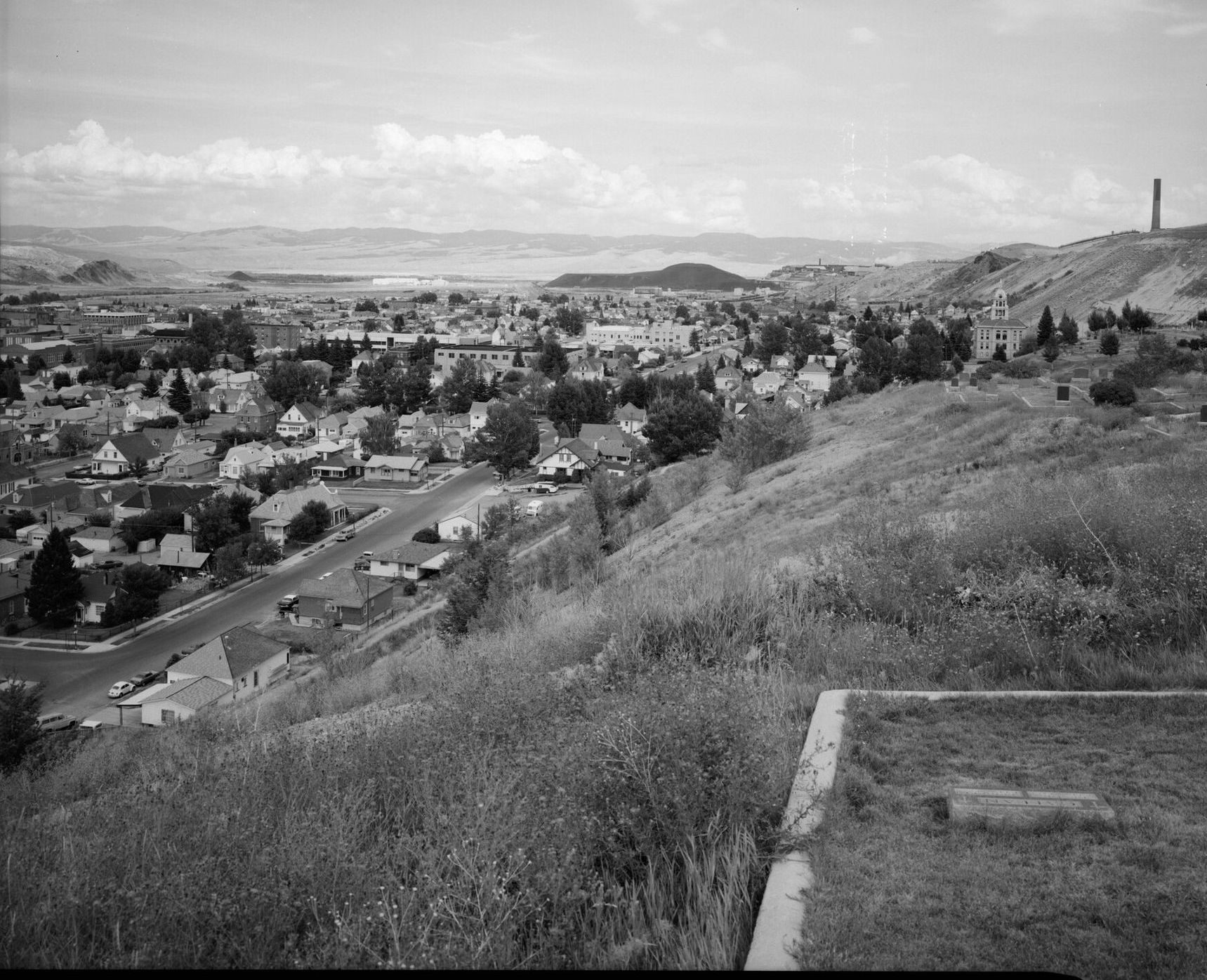 Anaconda's grid of houses and trees seen from a hillside, with the reduction works and stack on the far hill
